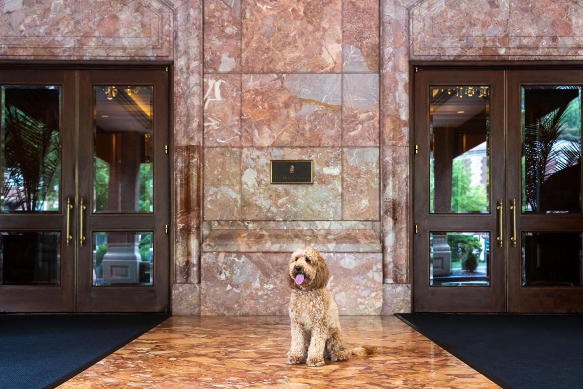מלון קלייטון The Ritz-Carlton, St. Louis מראה חיצוני תמונה